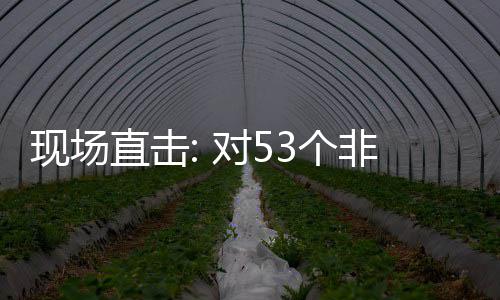 面实对5通关建交3个国全关税现场货物直击全国施零首票深圳非洲